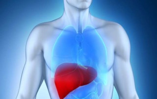 LIVER DISEASES